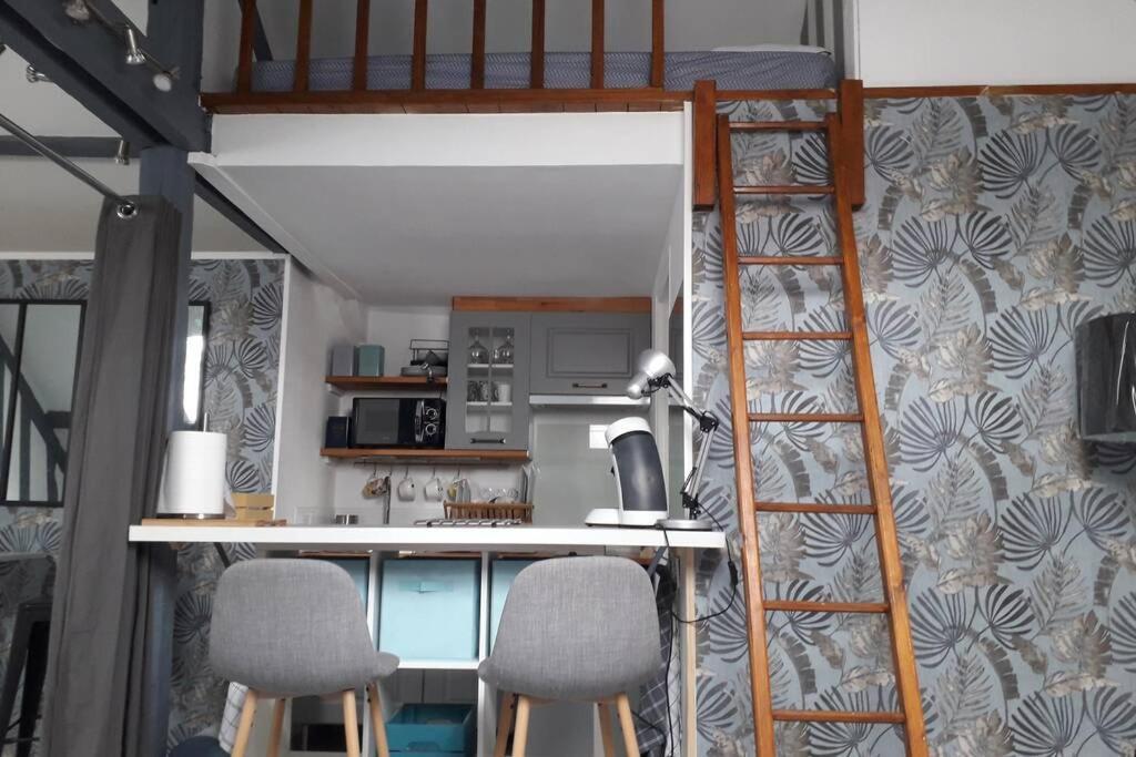 Loft Haut De Gamme Montargis Centre 1 A 4 Personnes Climatisation, Parking, Linge, Wifi, Hamac, Garage A Velos, Velos En Option Εξωτερικό φωτογραφία