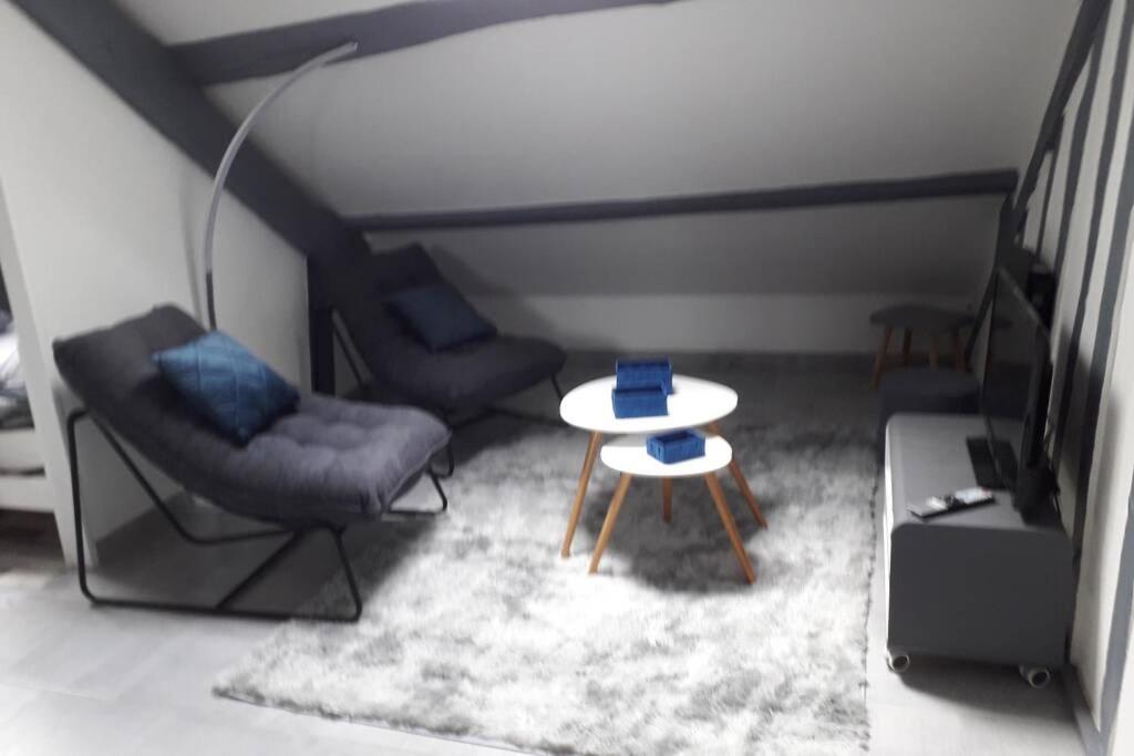 Loft Haut De Gamme Montargis Centre 1 A 4 Personnes Climatisation, Parking, Linge, Wifi, Hamac, Garage A Velos, Velos En Option Εξωτερικό φωτογραφία