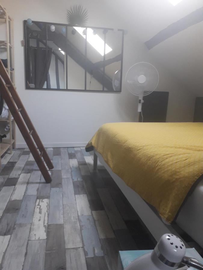 Loft Haut De Gamme Montargis Centre 1 A 4 Personnes Climatisation, Parking, Linge, Wifi, Hamac, Garage A Velos, Velos En Option Εξωτερικό φωτογραφία