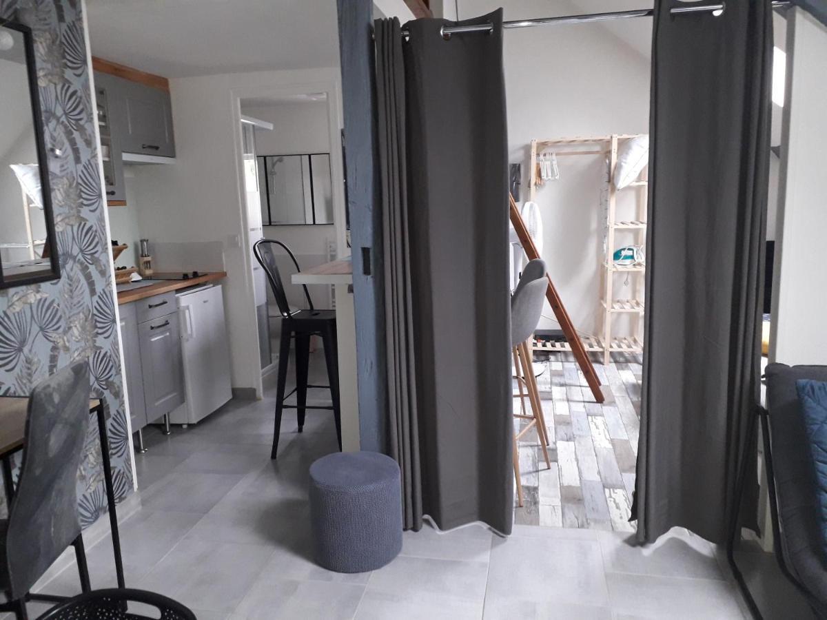 Loft Haut De Gamme Montargis Centre 1 A 4 Personnes Climatisation, Parking, Linge, Wifi, Hamac, Garage A Velos, Velos En Option Εξωτερικό φωτογραφία