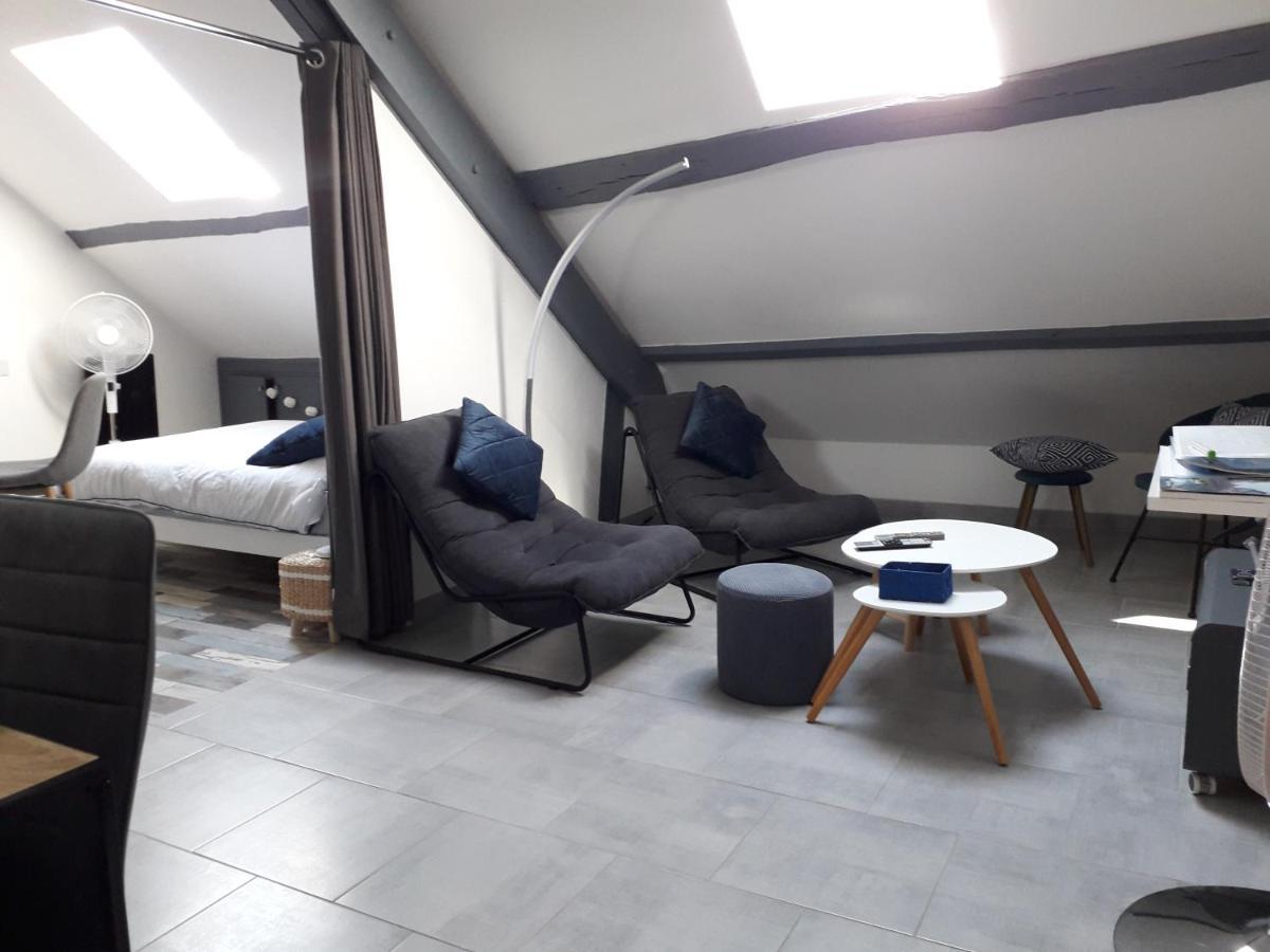 Loft Haut De Gamme Montargis Centre 1 A 4 Personnes Climatisation, Parking, Linge, Wifi, Hamac, Garage A Velos, Velos En Option Εξωτερικό φωτογραφία