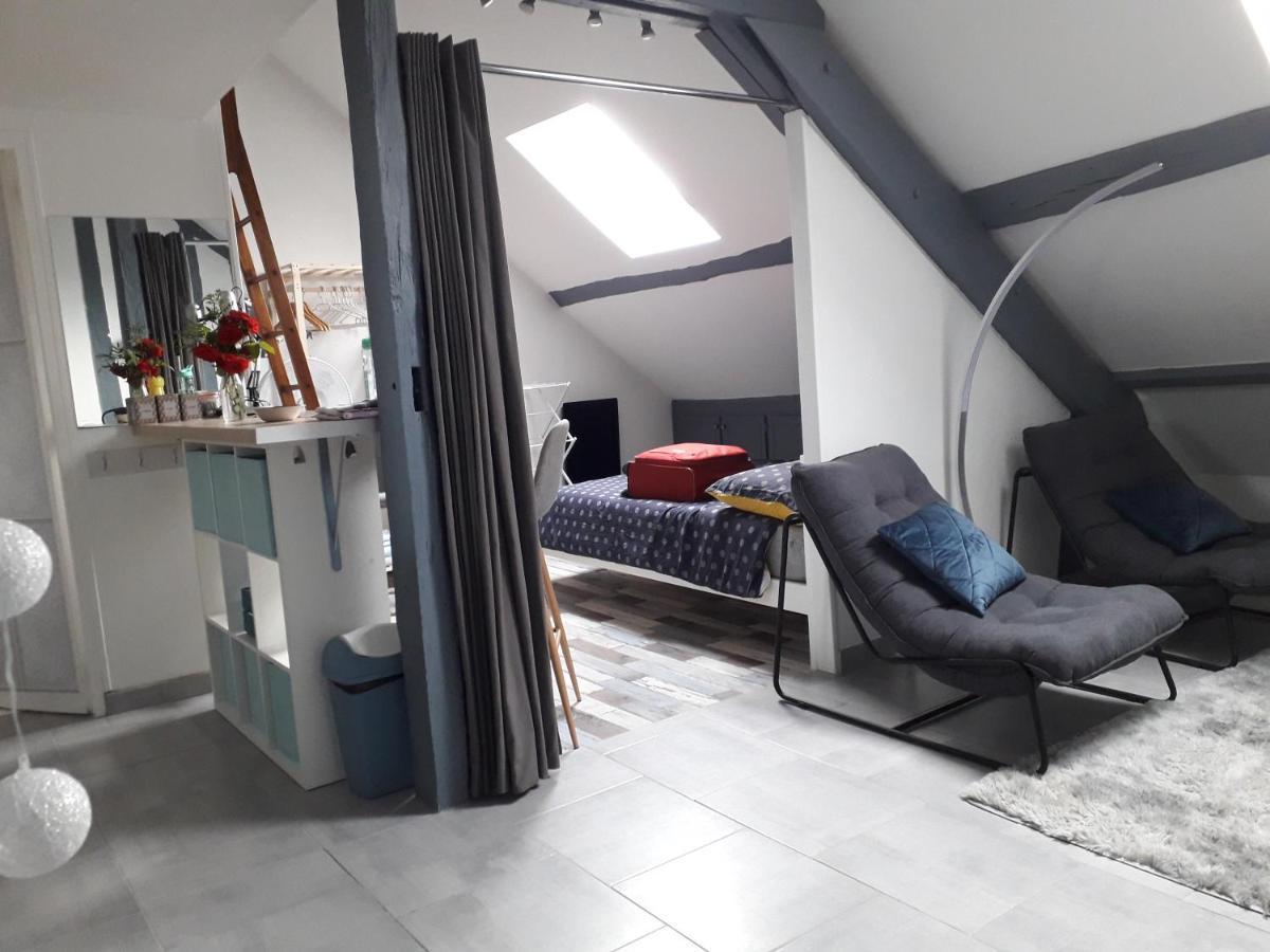 Loft Haut De Gamme Montargis Centre 1 A 4 Personnes Climatisation, Parking, Linge, Wifi, Hamac, Garage A Velos, Velos En Option Εξωτερικό φωτογραφία